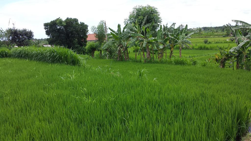 Puri Pondok Dawa Villa Kusamba Экстерьер фото